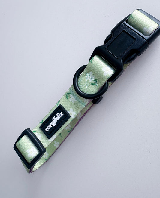 Collar ajustable para perros "Camomille"