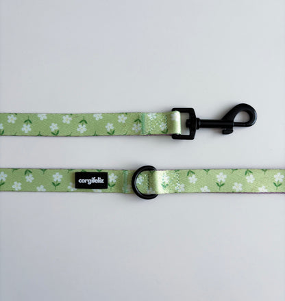 Correa para perros de 1.5 m "Camomille"