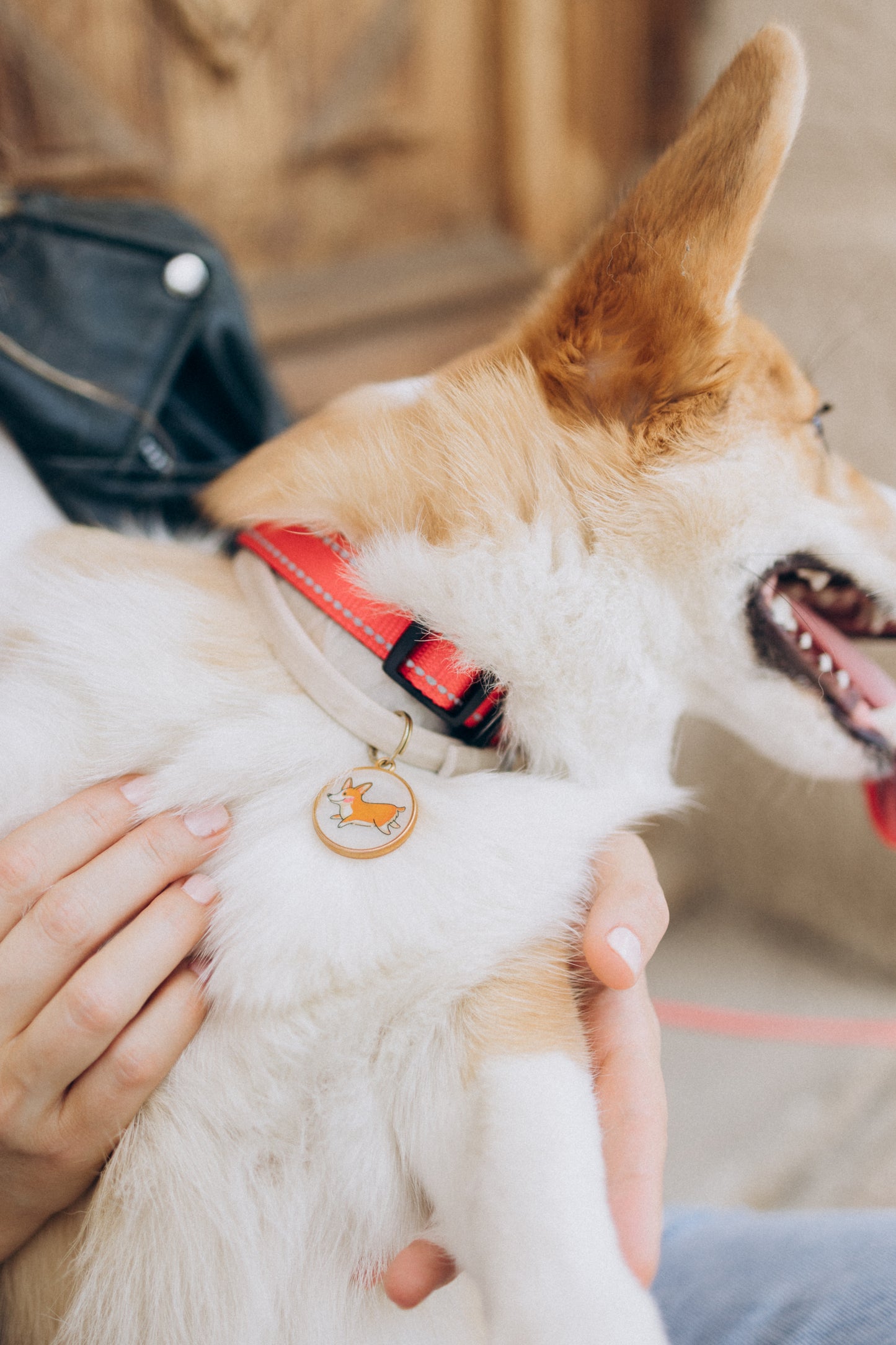 Joya identificativa hecha a mano "Corgifeliz" (Edición limitada)